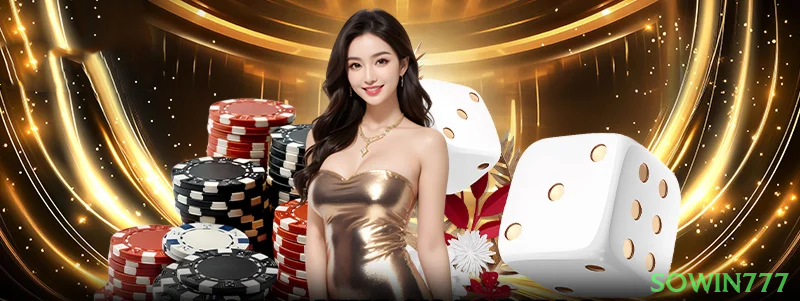 Guias de instalação da sowin777